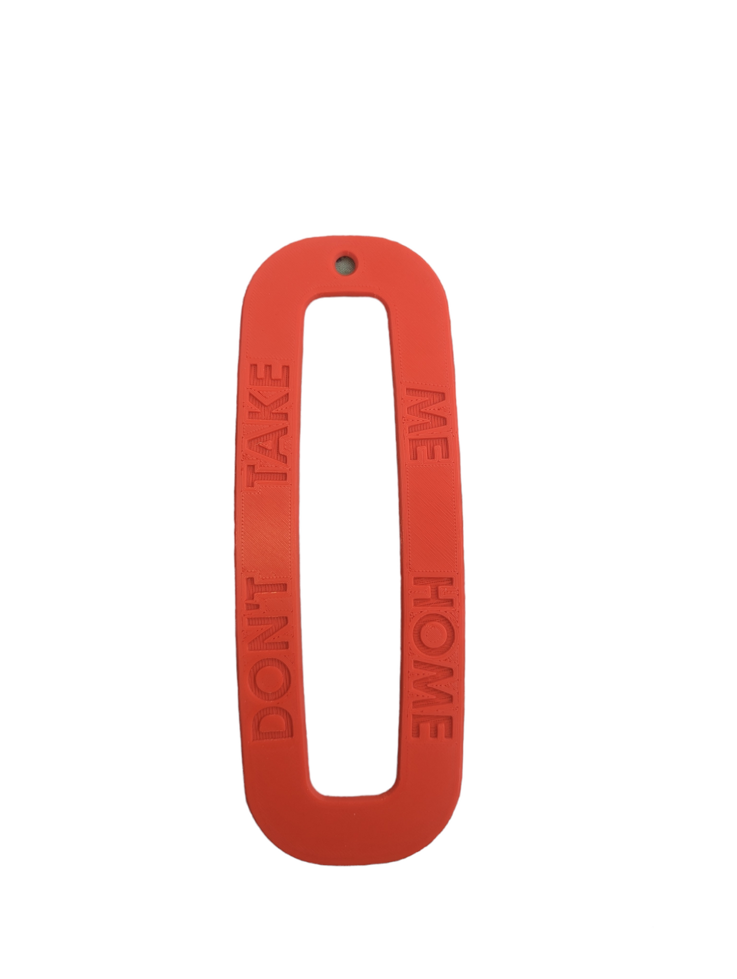 Don't Take Me Home! - extra large key fob for important keys