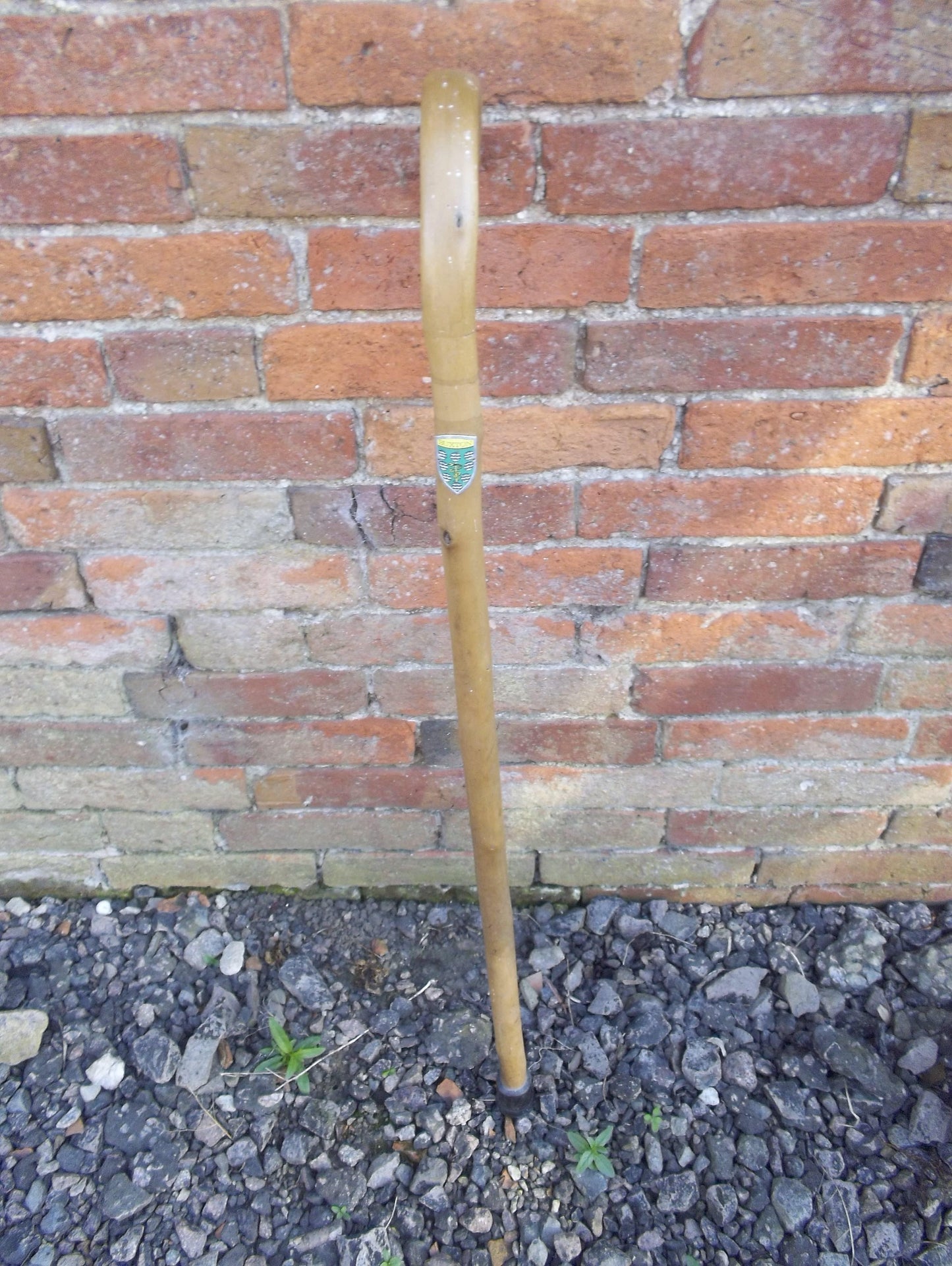 Wooden Walking Stick Traditional Style Curved Handle Features Buxton Badge