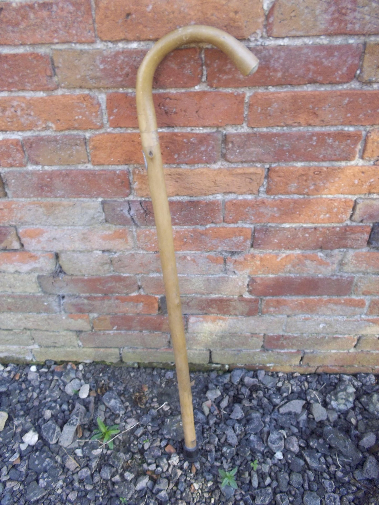 Wooden Walking Stick Traditional Style Curved Handle Features Buxton Badge
